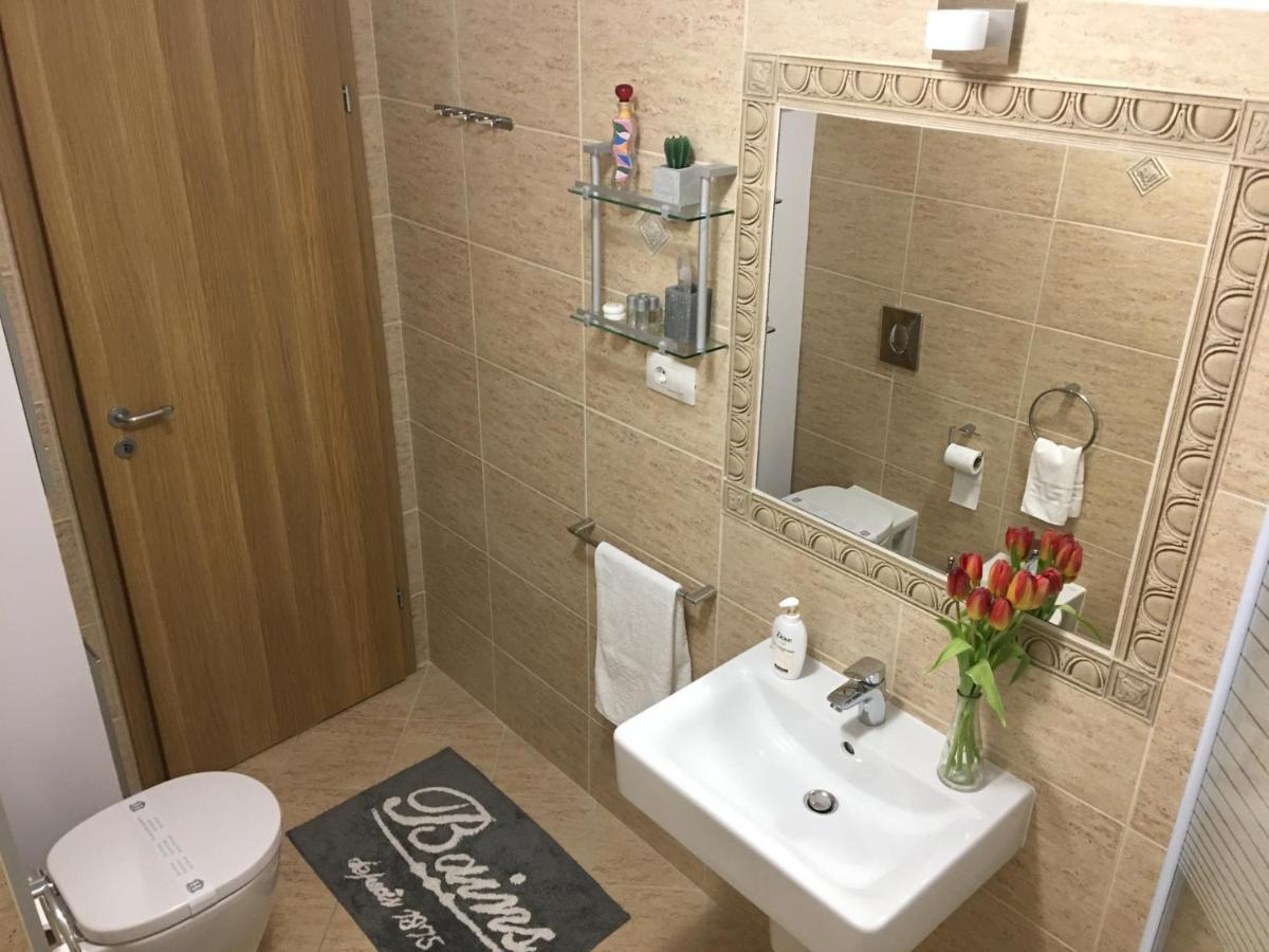 Elegantza Suites Brasov Bagian luar foto