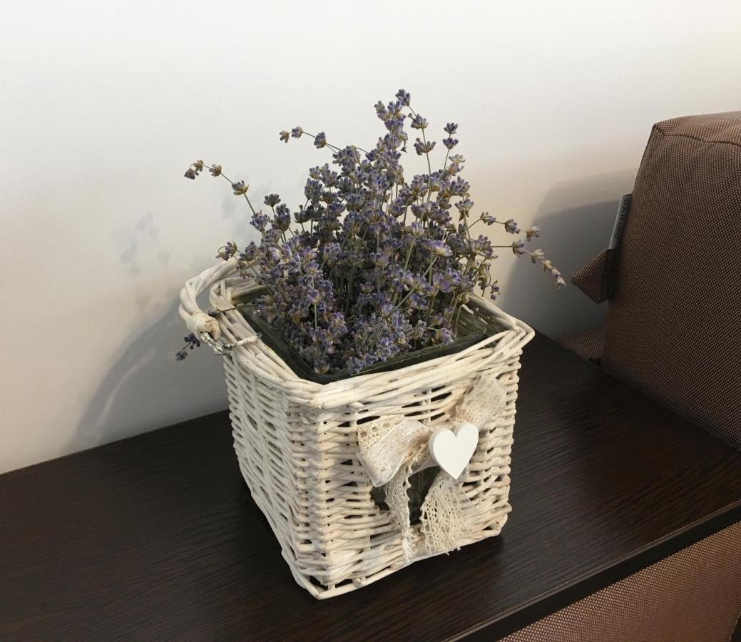 Elegantza Suites Brasov Bagian luar foto